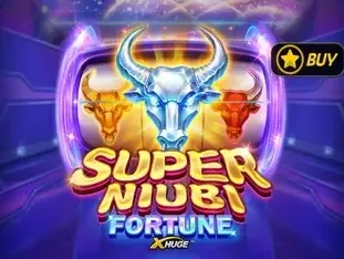 Super Niubi Fortune X-huge